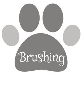 Brushing button navigation