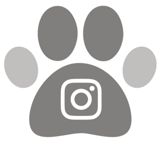 Link to Dee's Instagram social media